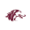 Southern Illinois Salukis (W)