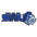 Southern Wesleyan