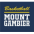 Mount Gambier Pioneers (W)
