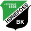 logo Хонефосс