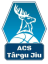 logo АКС Таргу Жиу