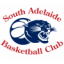 logo Аделаида Пантерс