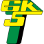 logo Горник Лечзна (Ж)