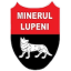 Минерул Лупени