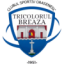 logo Триколорул Бриза