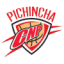 logo  Пичинча Де Потоси