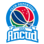logo АБА Анкуд