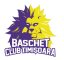 logo Тимишиора