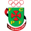 logo Пасуш Феррейра