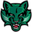 Мичиган Вулверинс (Ж)