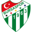 logo Бурсаспор до 19