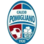 logo Помильяно (Ж)