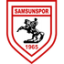 logo Самсунспор до 19