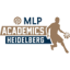 logo Хейдельберг