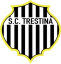logo Трестина