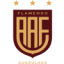 logo Фламенго U20