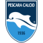 logo Пескара до 19