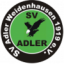 logo Вайденхаузен