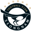 logo Соннам