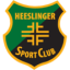 logo Хееслингер