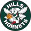 logo Хиллс Хорнетс
