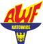 logo Мицкевич Катовице