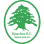 logo Боавишта