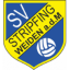 logo Стрипфинг