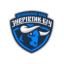 logo Энергетик-БГУ