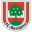 logo Дорнбирн