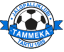 logo Таммека