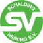 logo Шальдинг Хайнинг