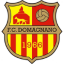 logo Доманьяно