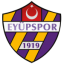 logo Эюпспор