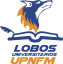 logo ЮПНФМ