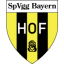 logo Бавария Хоф