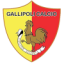 logo Галлиполи