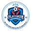 logo Платинум Сити