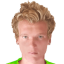 Дамен Салвестре