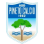 logo Пинето
