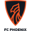 logo Феникс