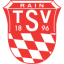 logo ТСВ