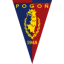 logo Погонь Щецин