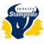 Саутерн Стампеде