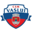 logo Васлуй