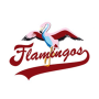 Berlin Flamingos