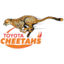 Cheetahs