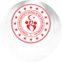 Istanbul Genclik Spor