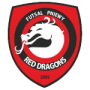 Red Dragons Pniewy