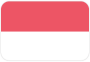 Indonesia U19